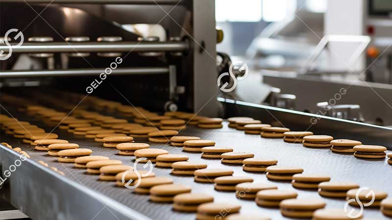 hard biscuit production line