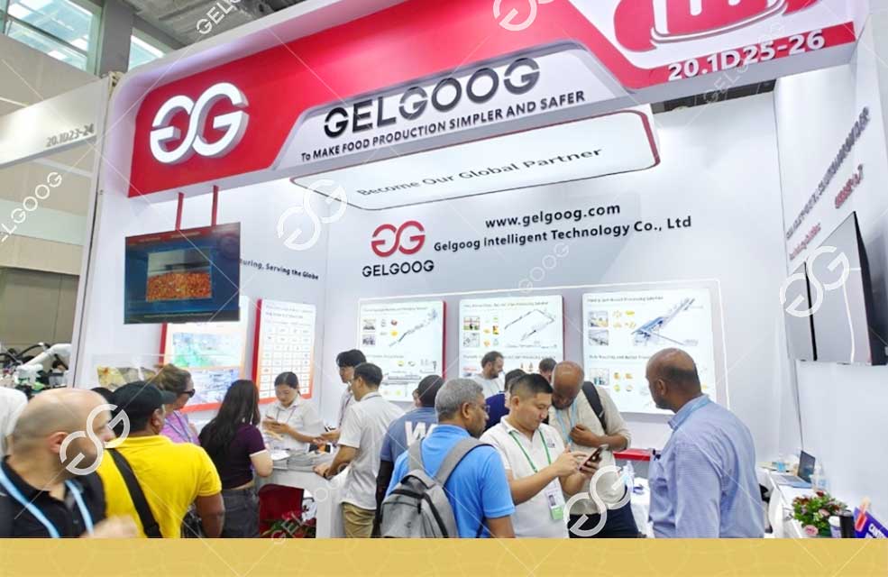 gelgoog